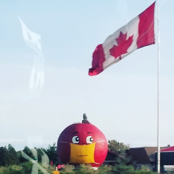 Meet your Posher, Jem - Picture 2 of 2